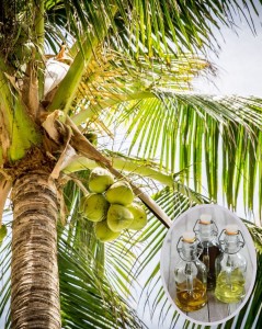 Frakcioniuotas kokosų aliejus